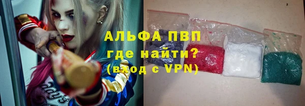 индика Беломорск