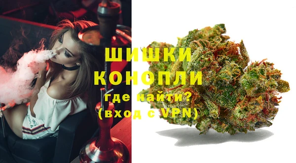 индика Беломорск